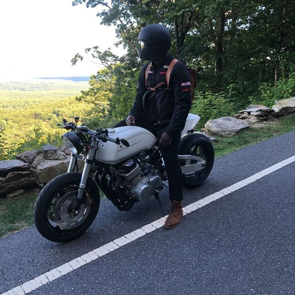 Meet your Posher, Darius - Picture 1 of 1